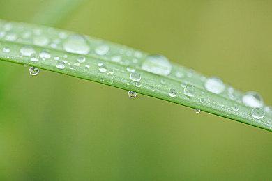 育碧600名员工声援动视暴雪员工 谴责公司的不作为